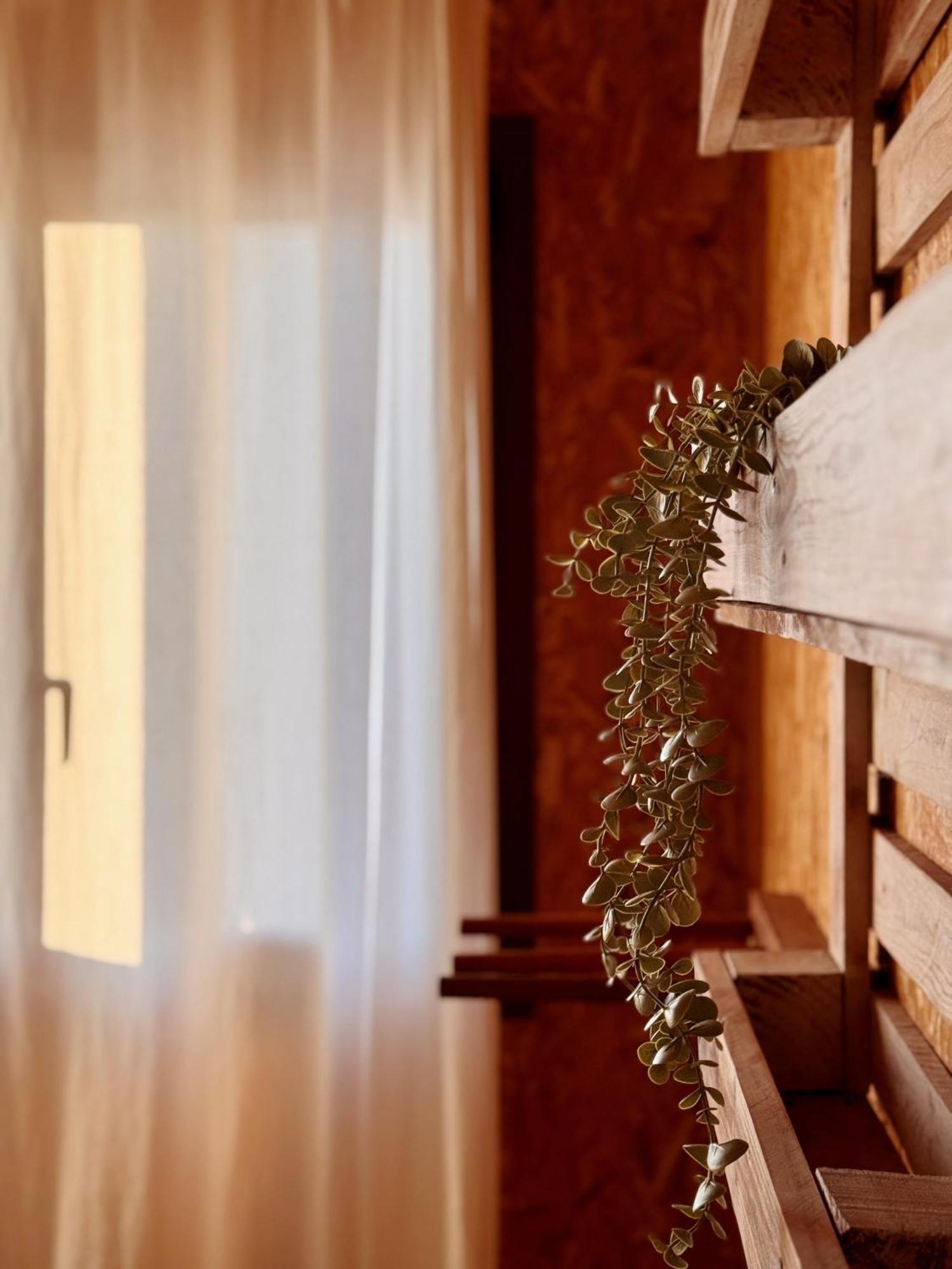 Eco Hostel - Tribo Da Praia Феррел Экстерьер фото